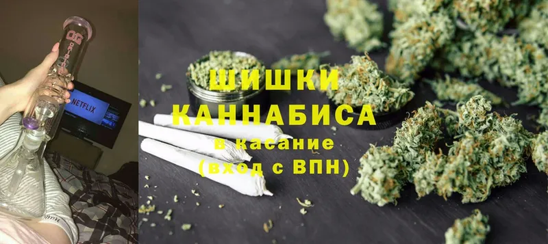 Каннабис OG Kush  Кинель 